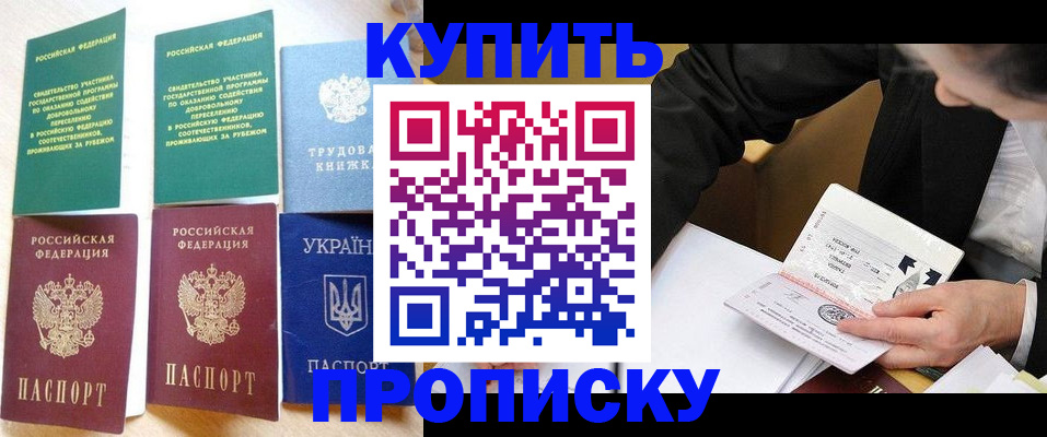 прописка для школы в Шлиссельбурге